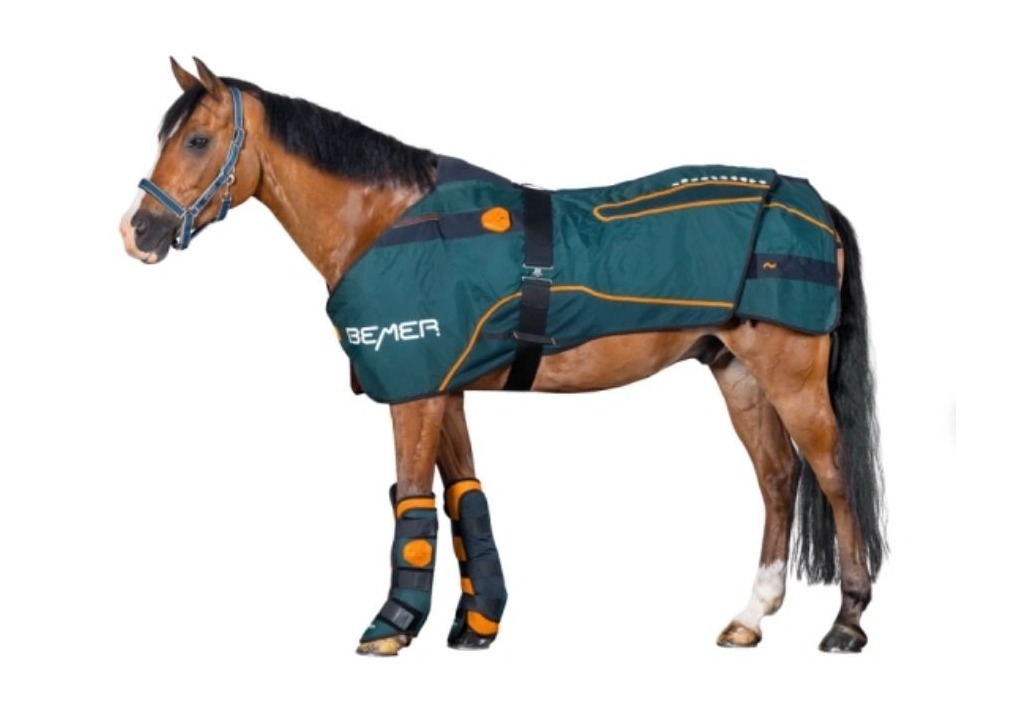 Horse wearing the BEMER Horse-Set Evo rug, neck applicator and leg protectors